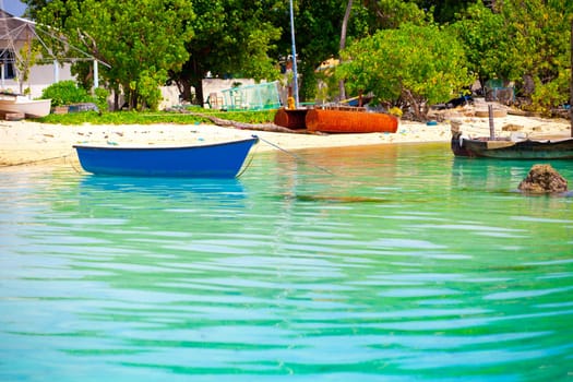 Holiday Paradise