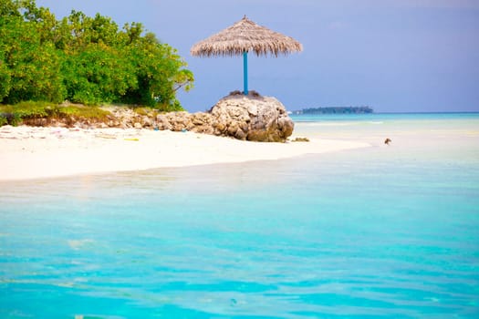 Holiday Paradise