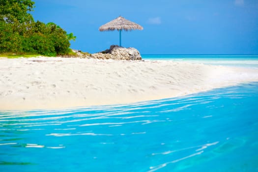 Holiday Paradise