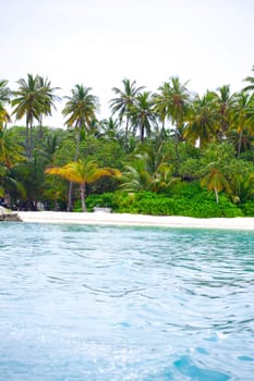 Holiday Paradise