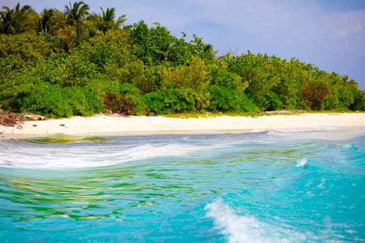 Holiday Paradise