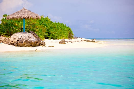 Holiday Paradise