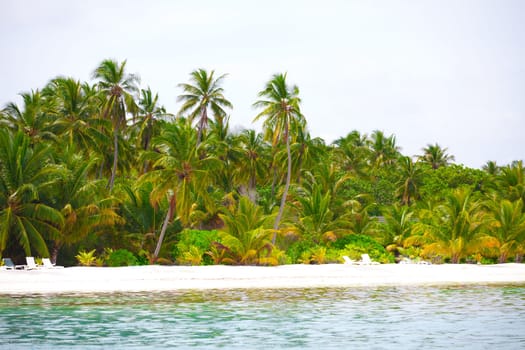 Holiday Paradise