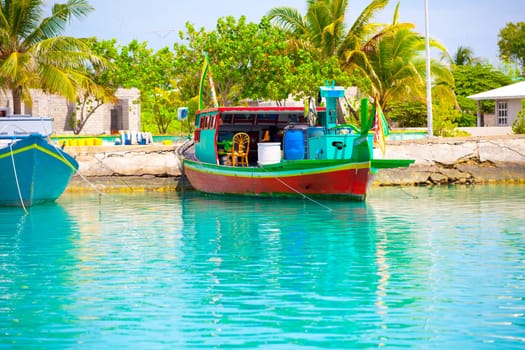 Holiday Paradise