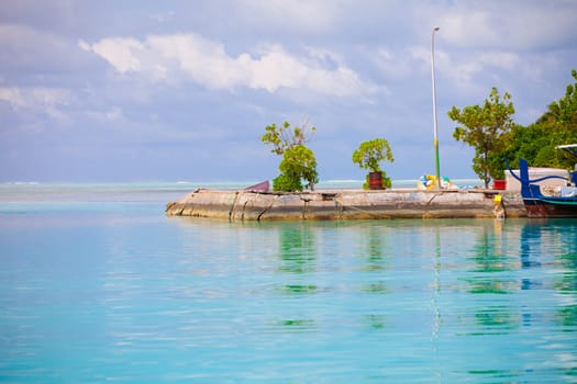 Holiday Paradise
