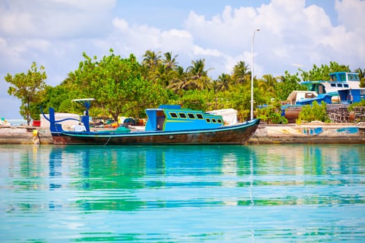 Holiday Paradise