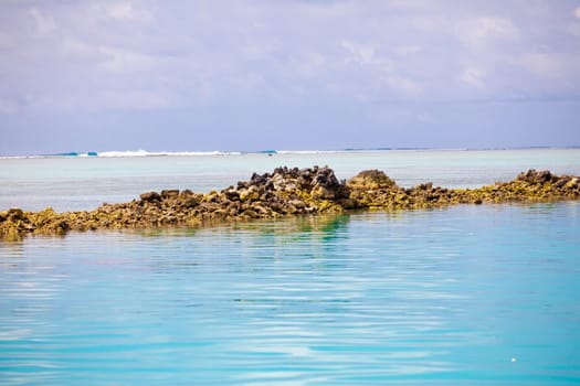 Holiday Paradise