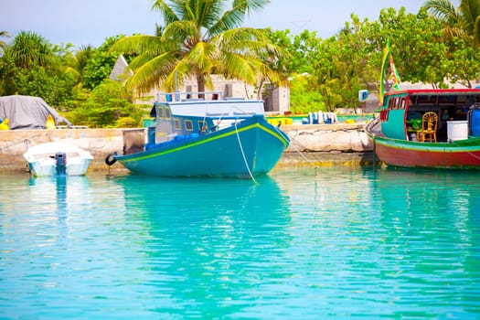 Holiday Paradise