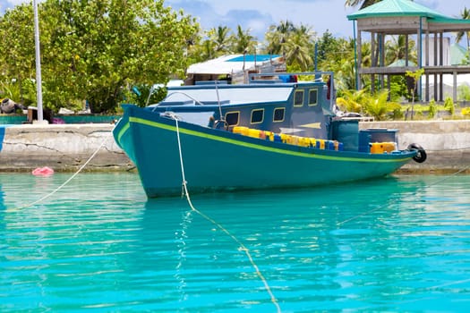 Holiday Paradise