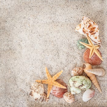 Beach holiday / summer holiday concept with sand and shells