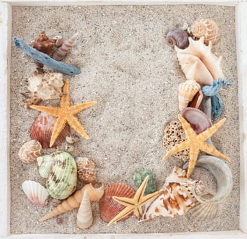 Beach holiday / summer holiday concept with sand and shells