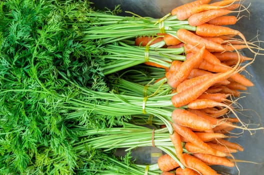 Fresh baby carrots. Bunch of organic carrots on a roadside stand farmers market in Thailand.