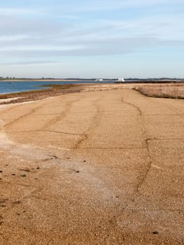 sandy beach texture dunes coast nature reserve plain background  essex  england  uk