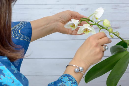 Woman cares for white orchid, wearing ring of Japanese white pearls.