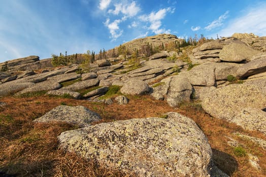 Beauty view in mountains of Altai. Kolyvan ridge - a mountain ridge in the north-west of the Altai Mountains, in the Altai Territory of Russia
