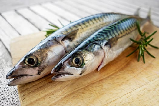 Fresh mackerel fish on the board with herbs and spices.