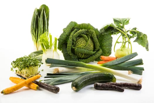Cabbage,chard,kohlrabi,fennel,leam,zucchini,carrots and radishes