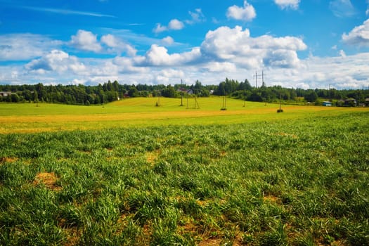 Summer rural landscape. Sunny day in the countryside. Field of green grass and blue sky with cumulus clouds.
