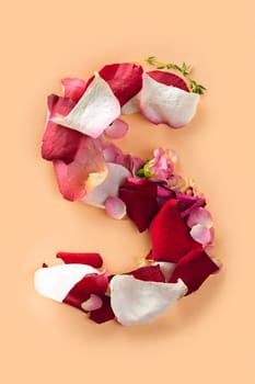 Letter S made from red roses and petals isolated on a beige background