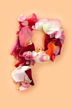 Letter P made from red roses and petals isolated on a beige background