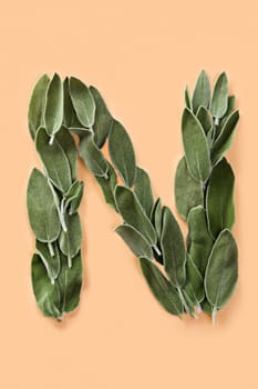 Letter N made from green petals of sage isolated on a beige background