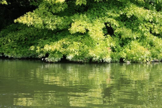 on the banks