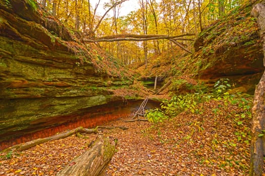 Hidden Canyon in the Fall Forest in Wildcat Den State Park in Iowa