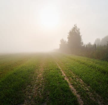 Field in the dense morning fog. Mist over the meadow.