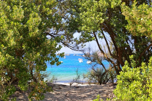 Beach into the hole of the trees in Brignogan, Finistere, Brittany, France