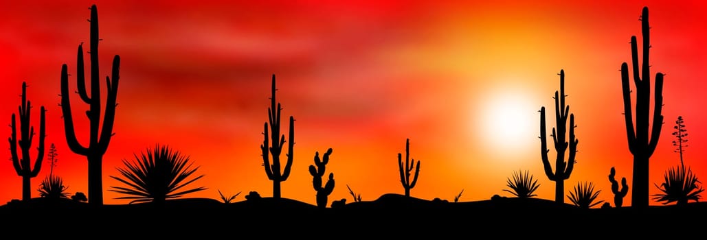 Sunset in the Mexican desert. Silhouettes of stones, cacti and plants. Desert landscape with cacti. The stony desert.