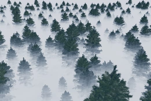 A forest of fir trees in the fog. 3d rendering.