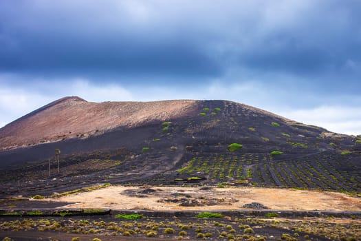 The Wine Valley of La Geria - Lanzarote, Canary Islands, Spain