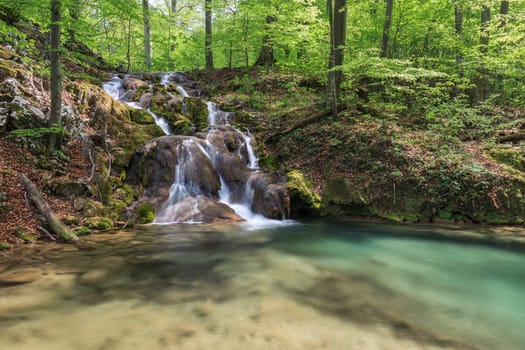 Beusnita river in Beusnita National Park Romania