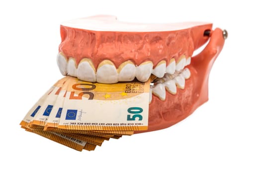 Model of a dentition with fifty euro banknotes on a white background
