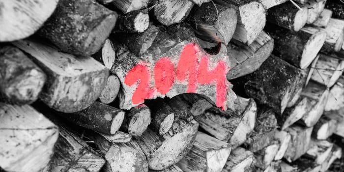 Year 2014 on firewood