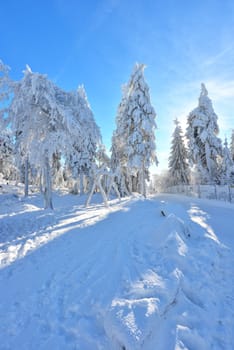 Winter landscape,winter sports,snow-covered landscape at the Ochsenkopf