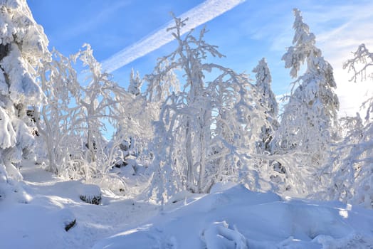 Winter landscape,winter sports,snow-covered landscape at the Ochsenkopf