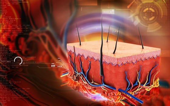 Digital illustration of Skin in colour background