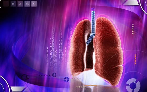 Digital illustration of human lungs in colour background