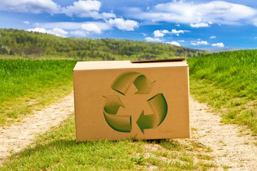 Cardboard in nature with recycled signs