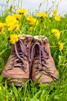 Hiking shoes in the grass