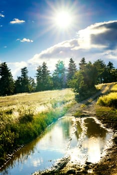 dirt road after rain in the countryside of France in the Alpes de Haute Provence