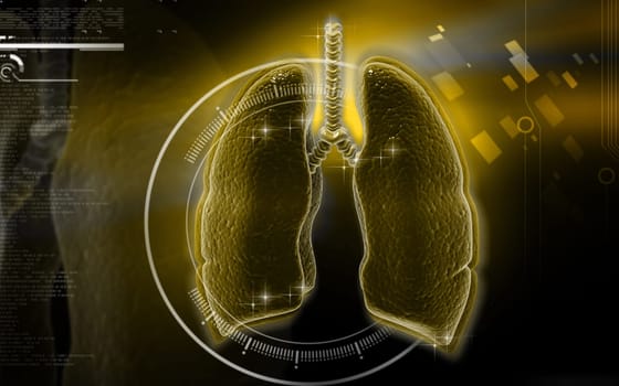 Digital illustration of human lungs in colour background