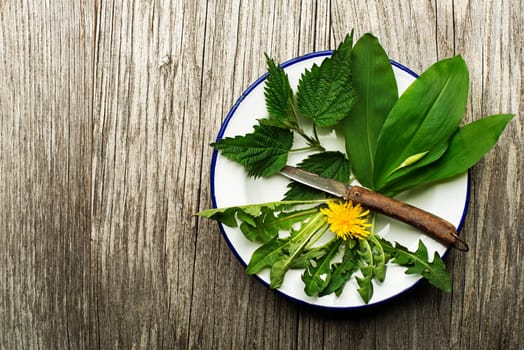 Spring food nettle dandelion wild garlic on wooden background