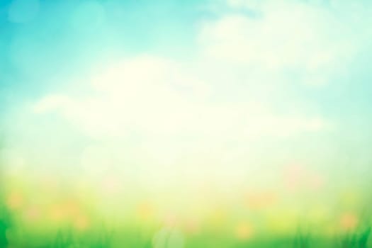 Sunny spring meadow blur background