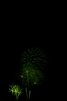 Fireworks display night - London, United Kingdom