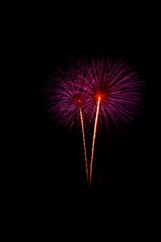 Fireworks display night - London, United Kingdom