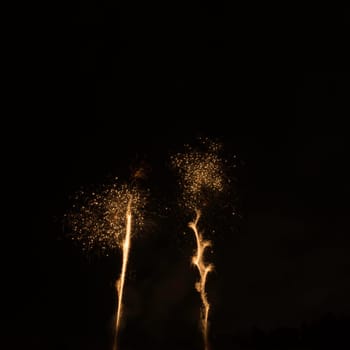 Fireworks display night - London, United Kingdom