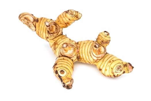 Ginger root isolated,ginger rhizome use as a kitchen spice or medicine
