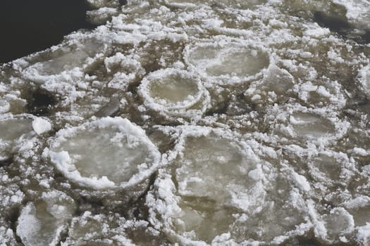 Ice floes on the river Elbe near Magdeburg on a cold winter day